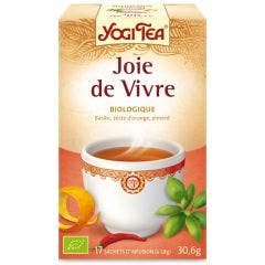 Joie De Vivre 17 Sachets Yogi Tea