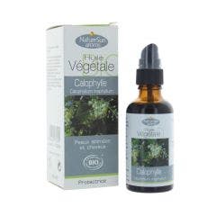 Huile Vegetale Bio Calophylle 50ml Naturesun Aroms
