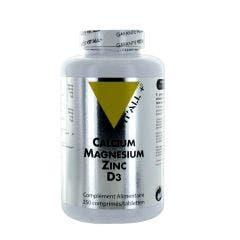 Camg Zn D3 250 Comprimés Vit'All+