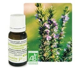 Huile Essentielle Bio Au Romarin Verbenone 5ml Les Huiles Essentielles Pranarôm