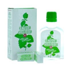 EAU DE MELISSE 4cl Les Carmes Boyer