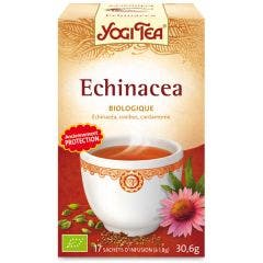Echinacea 17 Sachets Yogi Tea