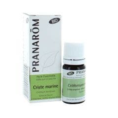 Huile Essentielle Bio Criste Marine 5 ml Les Huiles Essentielles Pranarôm
