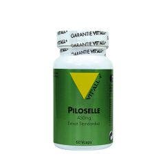 Piloselle 325mg 60 Comprimés 325mg Vit'All+