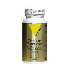 Tribulus Terrestris 90-Comprimes 300mg 90 Comprimés Vit'All+
