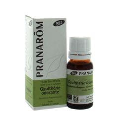 Huile Essentielle Bio Gaultherie Odorante 10 ml Les Huiles Essentielles Pranarôm