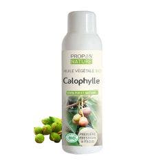 Huile Vegetale Calophylle Bio 100ml Propos'Nature