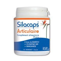 Silacaps Articulaire 120 Gelules Labo Sante Silice