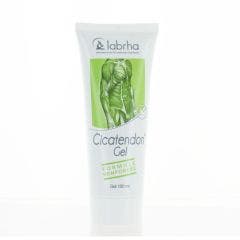 Cicatendon Gel 100 ml Labrha