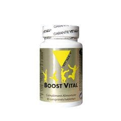 Boost Vital 30 Comprimés Vit'All+