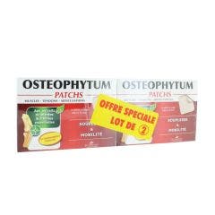 Osteophytum Patchs Articulation 2x14 3 Chênes