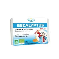 Escalyptus Gommes 50g Naturesun Aroms
