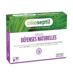 Defenses Naturelles 30 Gelules Ineldea