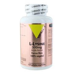 L- Lysine 500mg 120 Gélules Vit'All+