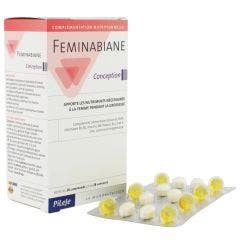 Feminabiane Conception 28 Comprimes + 28 Capsules Pileje