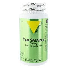 Yam Sauvage 60 Comprimés Vit'All+