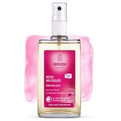 Deodorant Efficacite 24h 100ml Rose Musquee Weleda