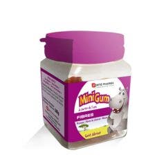 Minigum Fibres 50 Gommes Forté Pharma