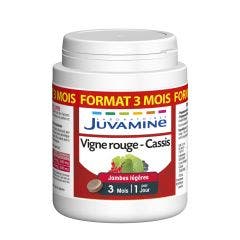 Vigne Rouge Cassis Jambes Legere 90 Comprimes Juvamine