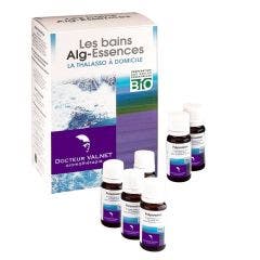 Alg Essences Coffret Bains 6 Sachets + 6 Doses Dr. Valnet
