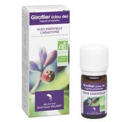 HUILE ESSENTIELLE GIROFLIER (CLOU DE) BIO 5ml Dr. Valnet