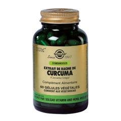 Extrait De Racine De Curcuma 60 Gelules Vegetales Solgar