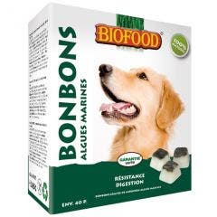 Bonbon Resistance Digestion Maxi Algues Marines Chien 40 Pieces Biofood