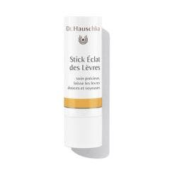 Stick Eclat Des Levres Bio 4.9g Dr. Hauschka