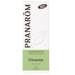 Huile Essentielle Citronnier Zeste Bio 100ml Les Huiles Essentielles Pranarôm