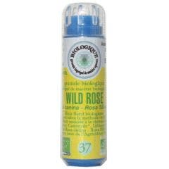 BACH BIO N°37. WILD ROSE GRANULES 6,3g Kosmeo