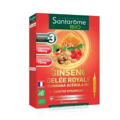 Ginseng Gelee Royale Guarana Acerola 20 Ampoules Bio Santarome