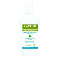 Bain De Bouche Fraicheur Bio 500ml Cattier