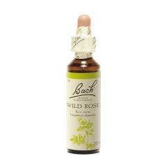 N°37 Wild Rose 20ml Fleurs de Bach Original