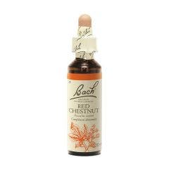 N°25 Red Chesnut 20ml Fleurs de Bach Original
