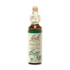N°33 Walnut 20ml Fleurs de Bach Original
