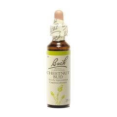 N°07 Chestnut Bud 20ml Fleurs de Bach Original