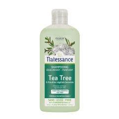 Shampooing Equilibrant Et Purifiant Au Tea Tree 250ml Natessance