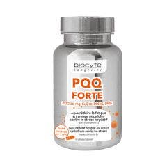 Pqq Forte 30 Gelules Biocyte