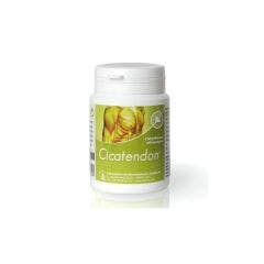 Cicatendon 60 Gelules Labrha