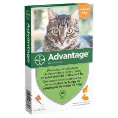 40 Pour Petit Chat Et Lapin Moins De 4 Kilos 6x0.4ml Advantage