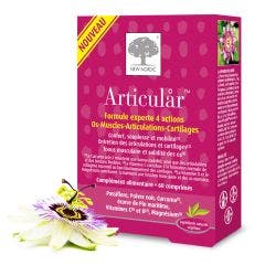 Articular 60 Comprimes New Nordic