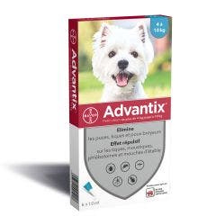 Pipettes Pour Petit Chien De 4 A X6 10kg Advantix