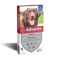Pipettes Pour Grand Chien x4 de 25 à 40kg Advantix