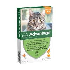 Solution 40 mg Pour Spot On Pour Chats Et Lapins De Moins de 4kg 4 x 0,4ml Advantage