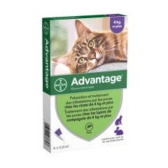 Solution 80mg Spot-on Pour Chats Et Lapins De Et Plus 4x0.8ml Advantage