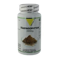 Harpagophytum 260mg 120 gélules Vit'All+