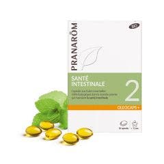N°2 Sante Intestinale Bio 30 Capsules Oleocaps+ Oléocaps Pranarôm