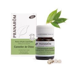 Cannelier De Chine Bio 60 Perles Les Huiles Essentielles Les Huiles Essentielles Pranarôm