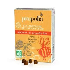 Gommes De Propolis Sirop D'agave Gingembre Et Citron Bio 45g Propolia