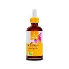 Articulation 60ml Les Extraits de Plantes Bio Harpagophyton Weleda